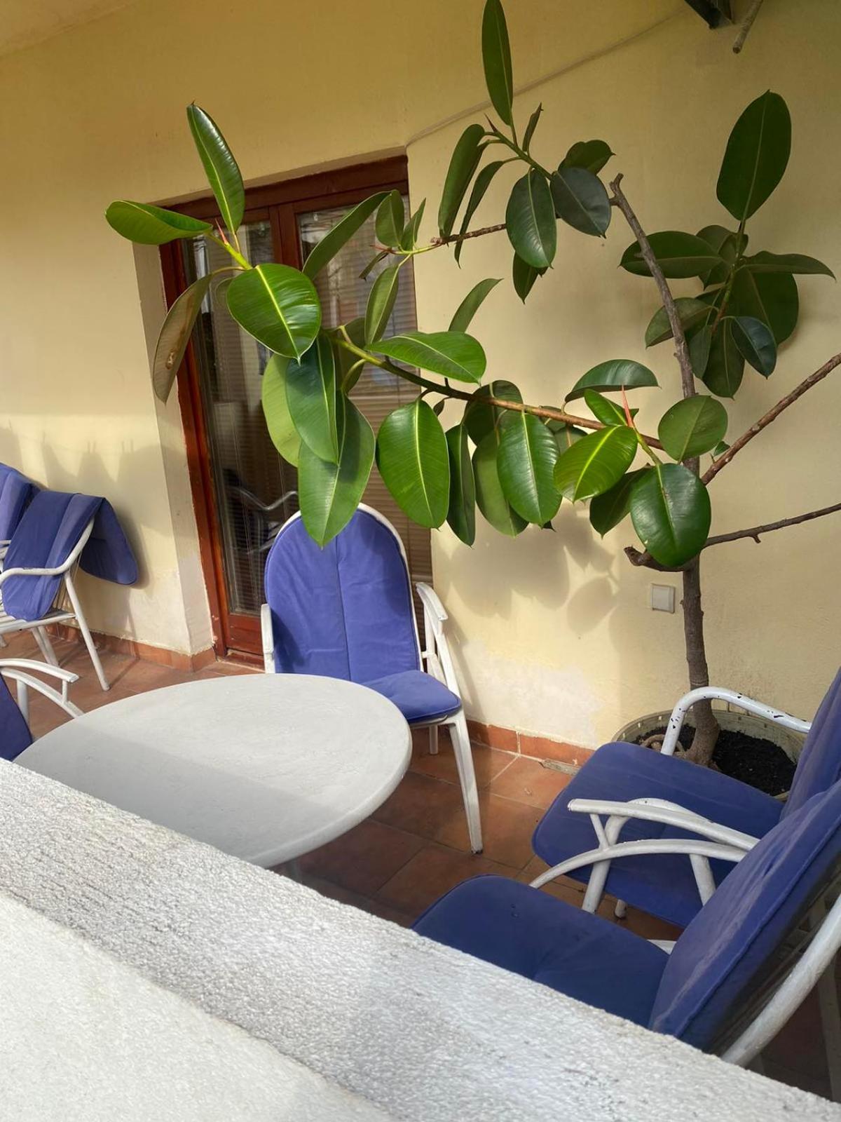 הרצג-נובי Apartmani Zelenika חדר תמונה