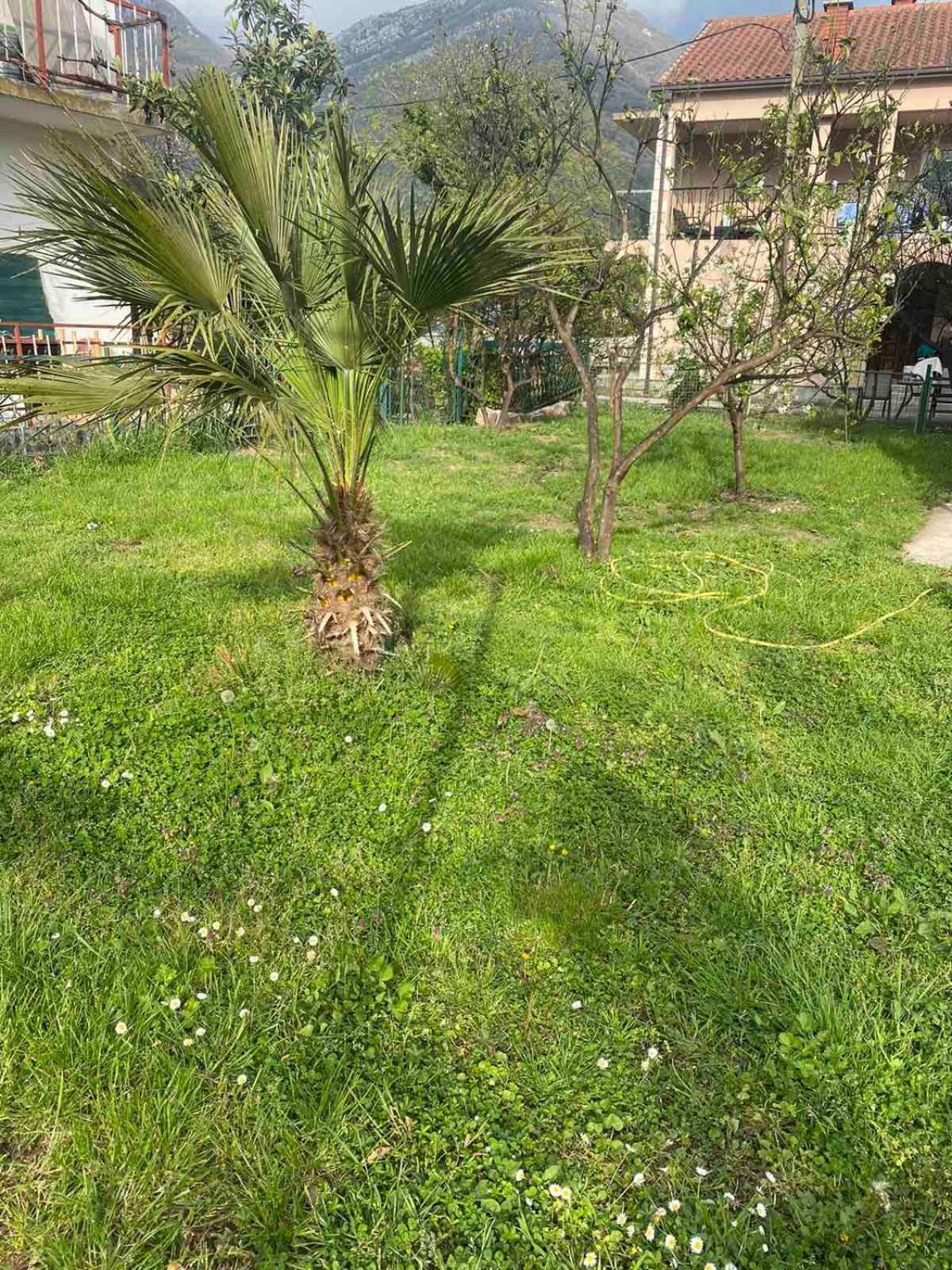 הרצג-נובי Apartmani Zelenika חדר תמונה